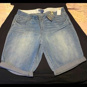 Democracy  Distressed Mold & Hold Bermuda Short 22